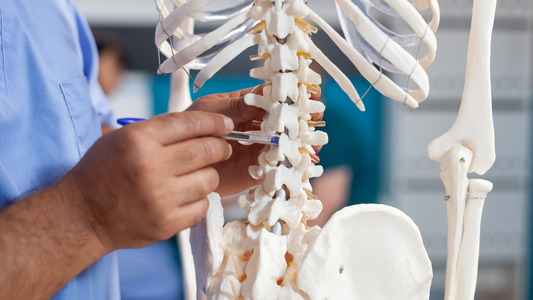d3 k2 bone benefits